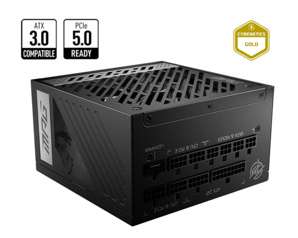 Fuente MSI MPG A1000G 1000W 80 Plus Gold Full Modular PCIE 5.1 / ATX 3.1 (2196)
