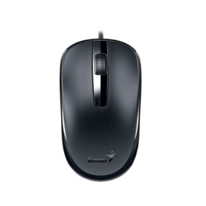 Mouse Genius DX-120,USB-C,Black (2299)